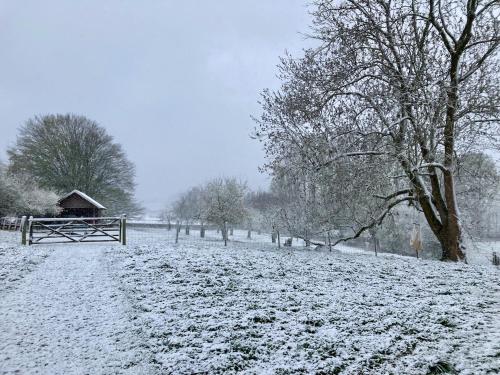 Nachtegael Hoekhuis, knusse woning met prachtig vergezicht