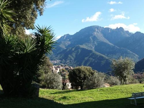 . Appartement avec vue sur la montagne