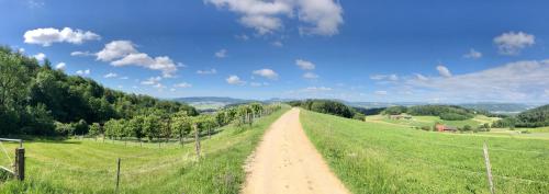 perfect lifestyle Design Boutique & Private SPA - Photo 4