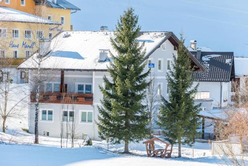 Alpeneer - Apartment - Lackenhof am Ötscher