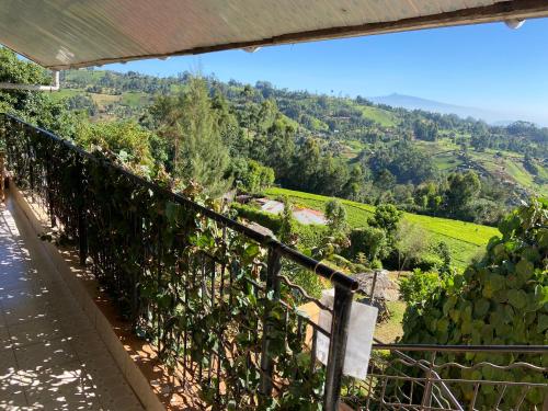 Apkārtne, Ranges View Lodge - Aberdare Safari in Murang'a in Njagatugu