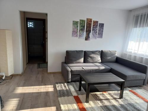 City Center Flat - Location saisonnière - Odorheiu Secuiesc