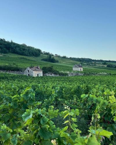 Le Clos de Miribel