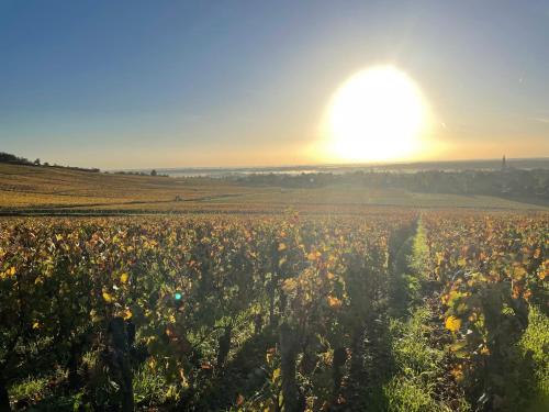 Le Clos de Miribel