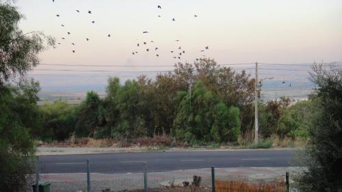 Gilad's View in Beit Shean