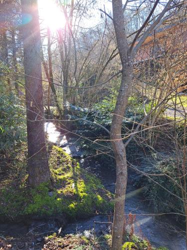 Le Ri de Vâ Maboge La Roche en Ardenne