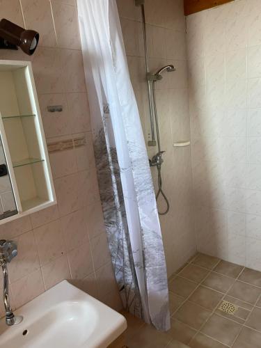 Duša, Apartmán Králiky (Apartman Kraliky) in Tajov