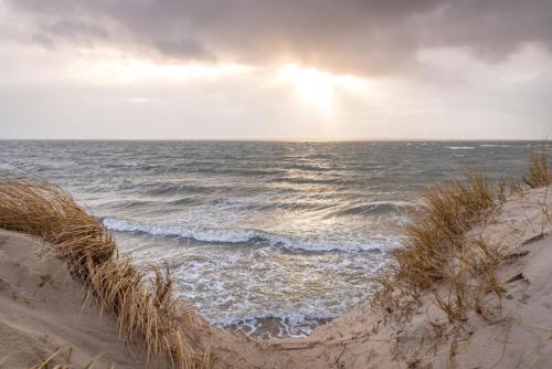 Lütt Nest Föhr (Lutt Nest Fohr) in Alkersum
