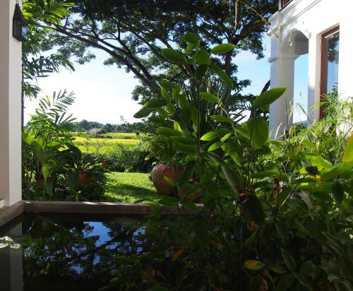 Villa Albizia – Chiang Mai, IA