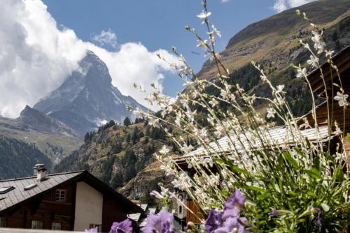 Village Apartment with Matterhorn View