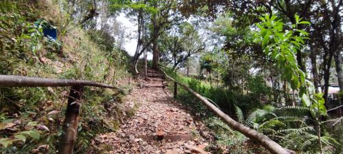 Cabañas La Campiña Ubalá