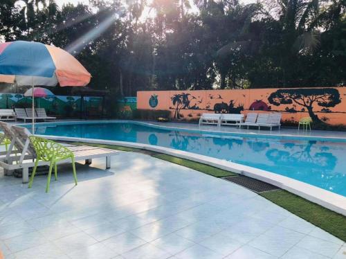 Peldbaseins, Tea Heaven Resort in Sreemangal Upazila