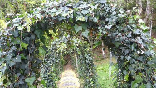 Cabañas La Campiña Ubalá