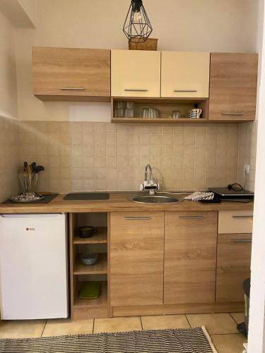 Konyha, Apartment Natasa in Sajmiste