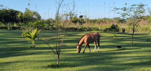 Kaza Mazamore - Entire luxurious Vila in Itaunas.