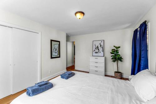 Fully Renovated 4 Bed Buena Vista House Near WFU in Winston-Salem, USA