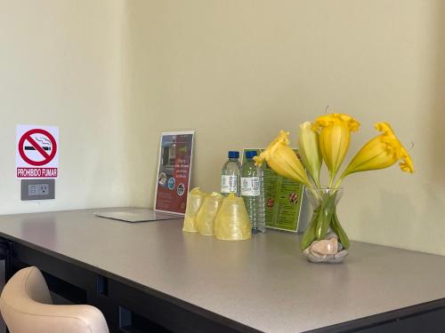 宜古纳别墅 宜古纳别墅