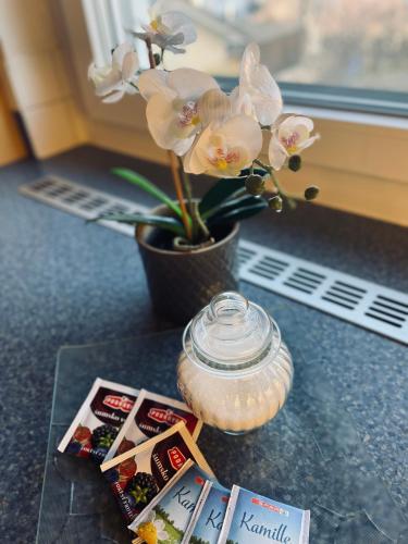 RELAX APPARTEMENT - Graz in Seiersberg