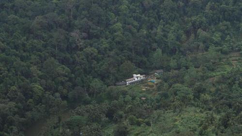 Explore Sinharaja Rain Forest Tour Camp Kotapola