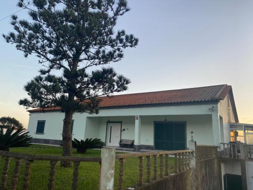 ทัศนียภาพภายนอกโรงแรม, Green Tropical House in อาร์ริเฟส