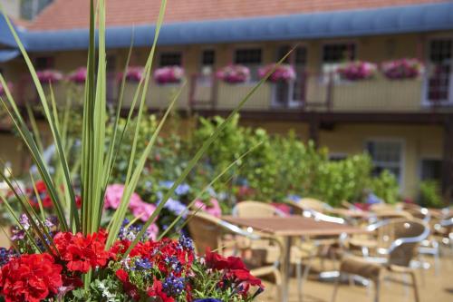 Duke Of Normandie - image 3