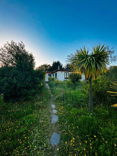 B&B Cobquecura - Cabañas Santa Rita - Bed and Breakfast Cobquecura