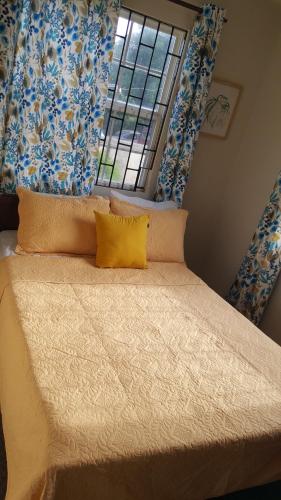 Jazz apartment, Christ Church (photo 7)