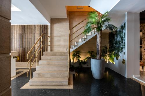 Bossa & Bed Hostel - main image