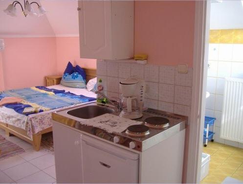 a small kitchen with a stove, sink, and dishwasher, Judit haus in Balatonfured