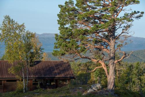 Sørbølhytta - cabin in Flå with design interior and climbing wall for the kids
