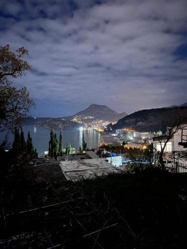 Lingkungan sekitar, Apartments in villa Viktoria in Brca