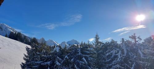 Ski Soleil 304 - image 9