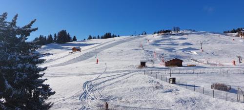 Ski Soleil 304 - image 5
