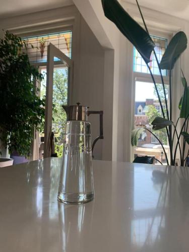  Stylish 3-bdrm apt. w/ terraces next to the beach in Den Haag