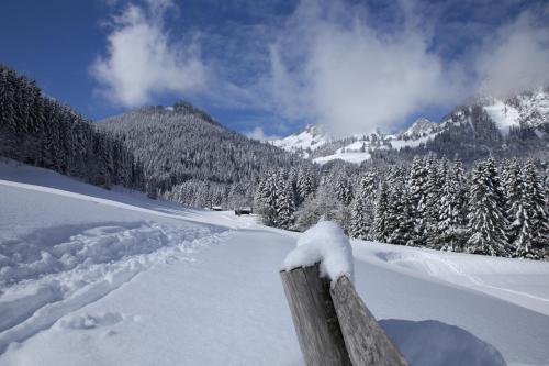 Torgon Rustig wandel en skigebied in Portes du Soleil