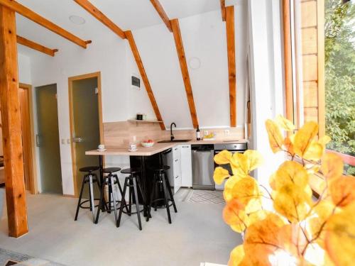 dapur, Spa Oasis Samanta in Ludbreg