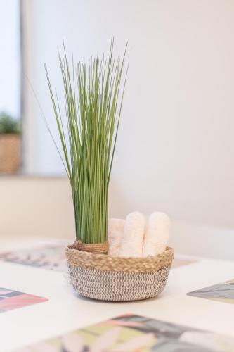 Tm Aparts - image 10