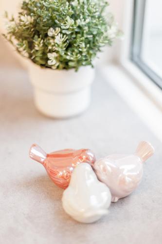 Tm Aparts - image 12