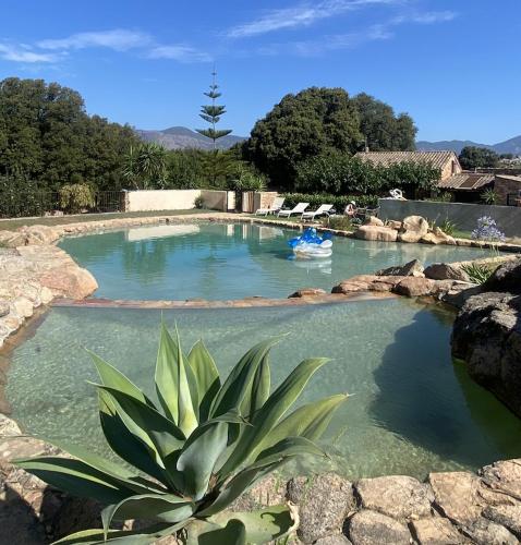 Maison L'Olivier avec piscine