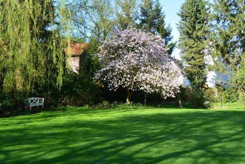 Apartment am Park - image 14