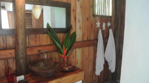 Trancoso Jungle Lodge – Trancoso, OH