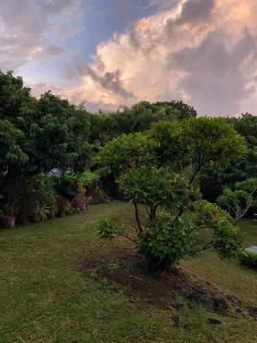 Eden des laves in Sainte Rose