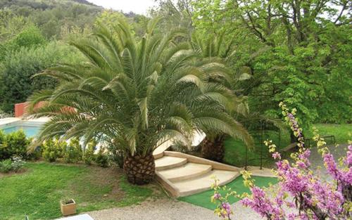 Le marronnier a la bouverie - Location saisonnière - Roquebrune-sur-Argens