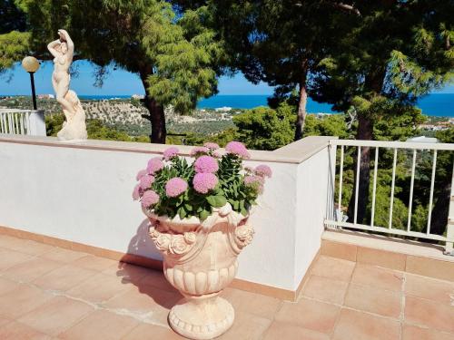 Residence Maresol - image 2