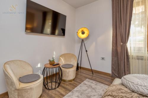 Apartment Nina Pazin