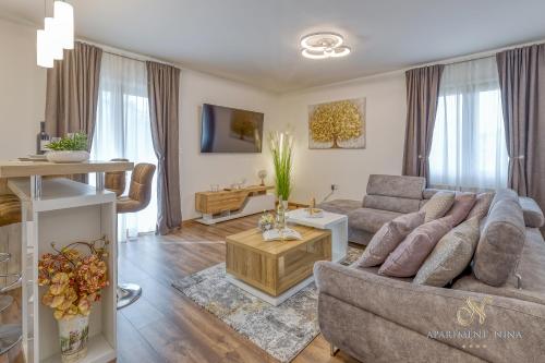 Apartment Nina Pazin