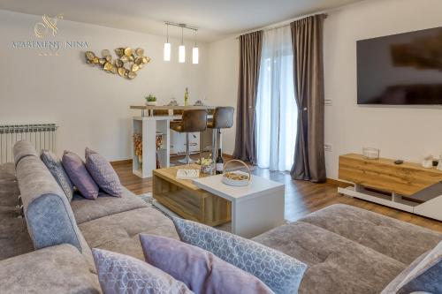 Apartment Nina Pazin