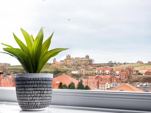 The View, Whitby (fotografie 8)