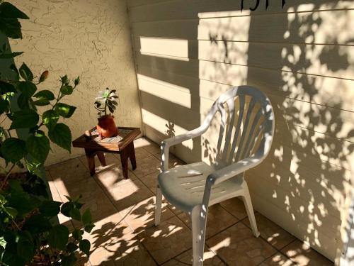 Coral Cluster 1311 - main image