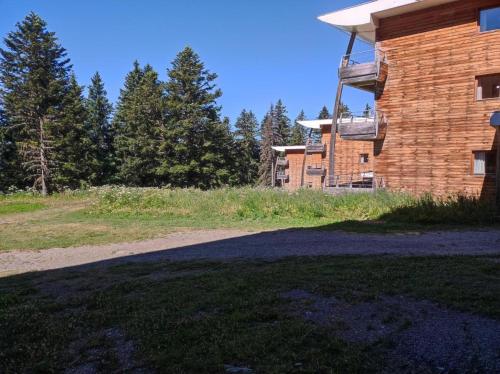 Chamrousse 1700 - Asters A03 - Rez de Jardin, Piscine, Sauna, Terrasse plein sud, Chamrousse (foto 9)